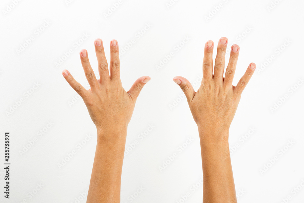 lady hand gestures - white background lady hand gestures - white background