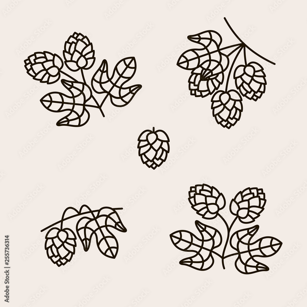 Hop set. Collection icon hops. Vector Hop set. Collection icon hops. Vector