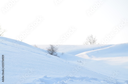 winter mountain landscape with trees and snow © Валентина Щербак