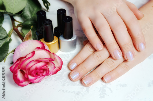 Beautiful woman hands with manicure and rose  spa beauty treatment
