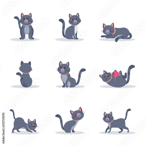 Cute grey cats vector color illustrations set