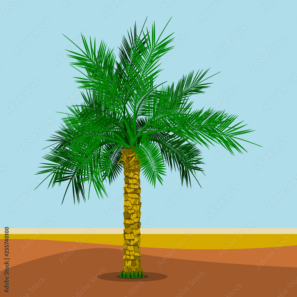 Date Palm Tree Clip Art