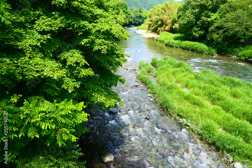山間地の清流、夏の気仙川。陸前高田　岩手　日本。７月上旬。