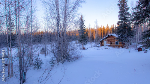 winter landscape with trees in winter © Dana