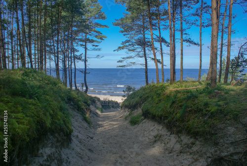 Wejście na plaże Skowronki, Bałtyk. :Polska 