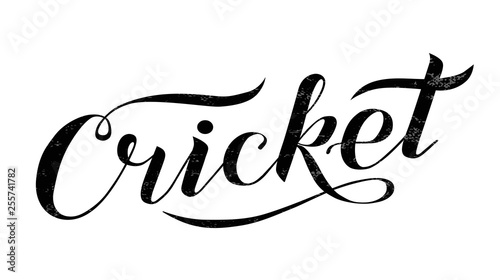 Hand drawn Cricket lettering text on white background, vector illustration. Hand made calligraphy. Sport, fitness, activity vector design. Print for logo, banner, card, competition, T-shirt and caps. 