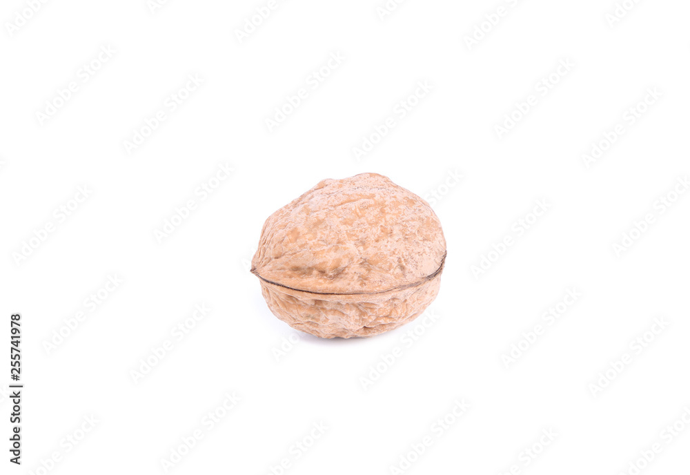 Walnut isolated on white background, close up Walnut isolated on white background, close up