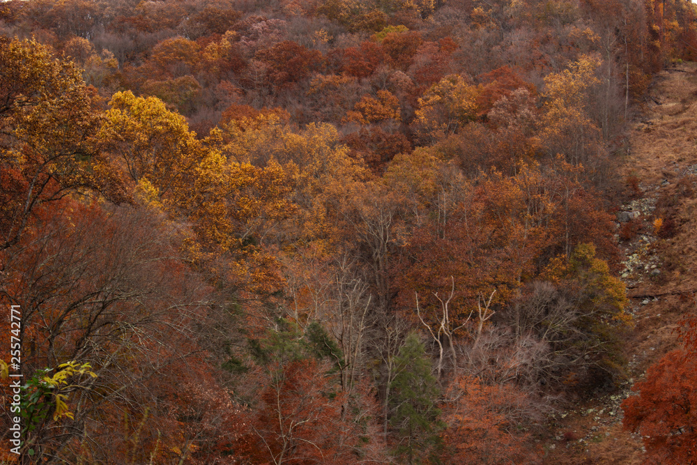 Autumnal valley 2 Autumnal valley 2