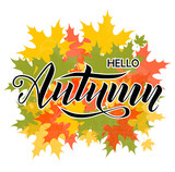 Hello autumn hand lettering text on white background decorate with maple autumn leaves for shopping sale or promo poster and frame leaflet or web banner. Vector calligraphy illustration template.