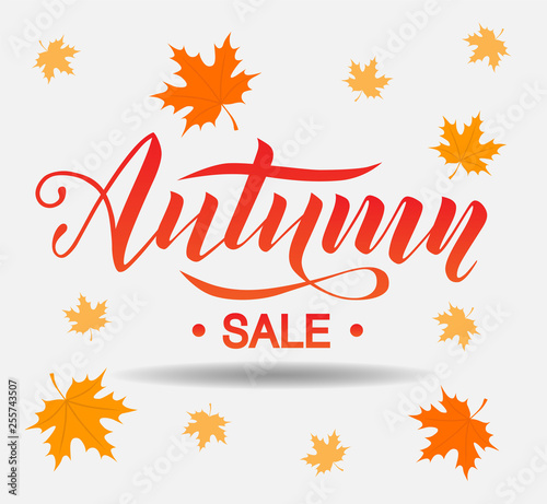 Autumn sale lettering text on grey background with leaves layout decorate for shopping sale or promo poster, card, banner and frame leaflet or web banner. Vector calligraphy illustration template.