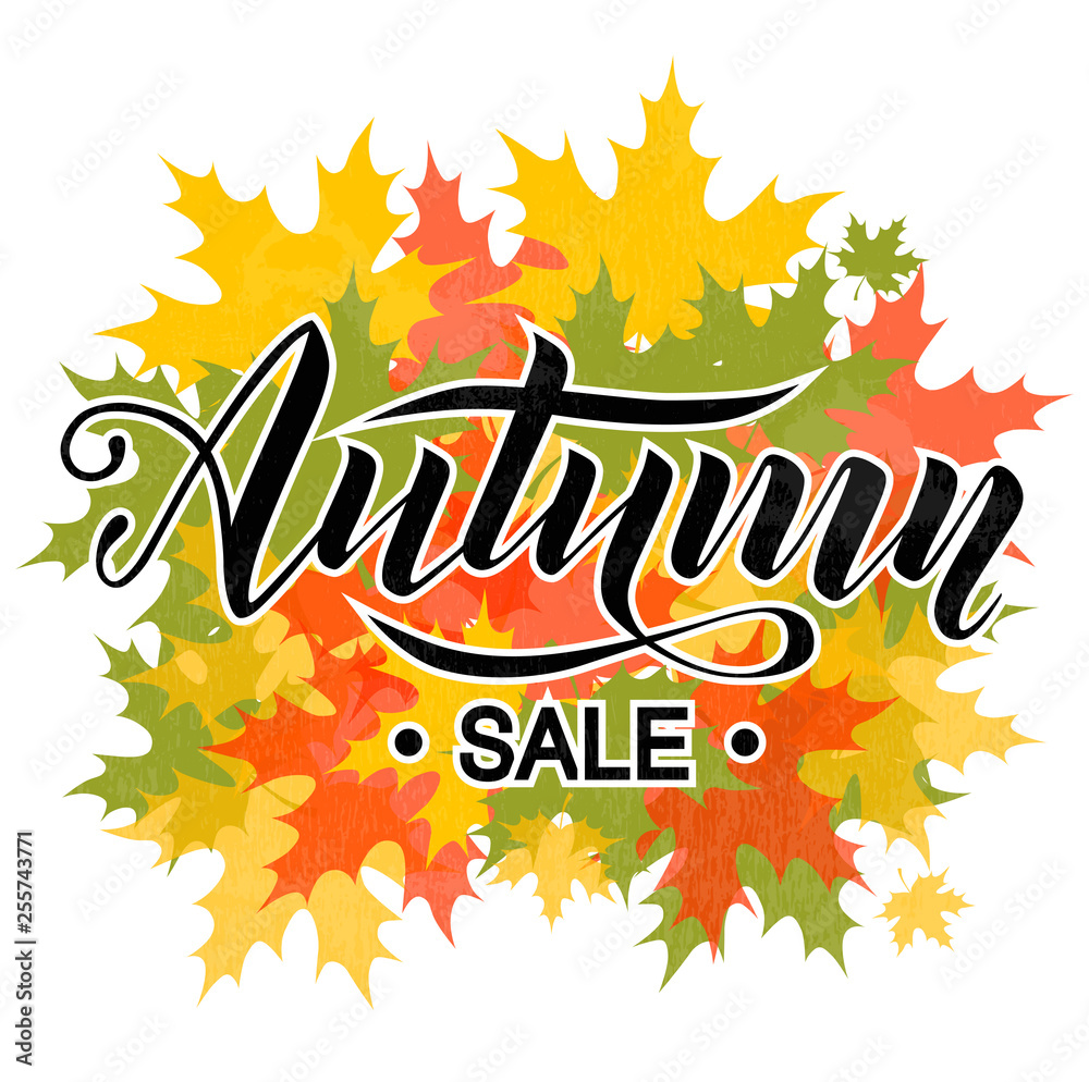 Autumn sale hand lettering text on white background decorate with maple autumn leaves for shopping sale or promo poster and frame leaflet or web banner. Vector calligraphy illustration template. Autumn sale hand lettering text on white background decorate with maple autumn leaves for shopping sale or promo poster and frame leaflet or web banner. Vector calligraphy illustration template.