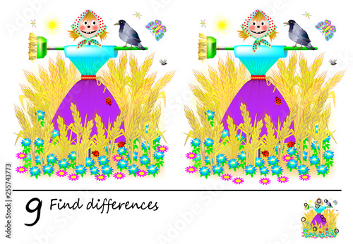 Logic puzzle game for children and adults. Need to find 9 differences. Printable page for baby brainteaser book. Cute garden scarecrow. Developing skills for counting. Vector cartoon image.