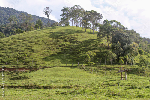 Montanhas da mata atlântica do sul do Brasil photo