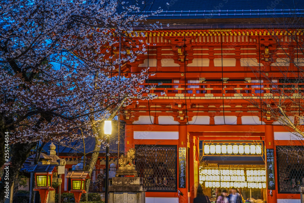 Fototapeta premium 京都・八坂神社