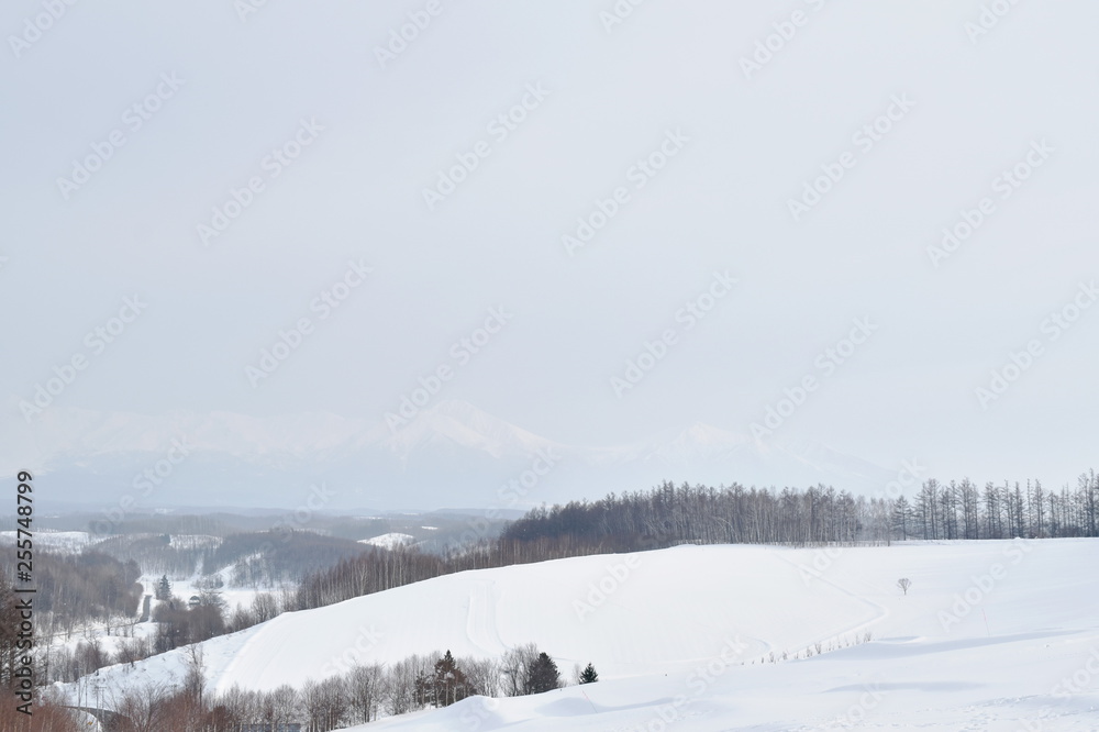 landscape of snow field on mountain in Hokkaido Japan landscape of snow field on mountain in Hokkaido Japan