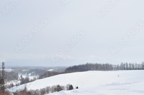 landscape of snow field on mountain in Hokkaido Japan