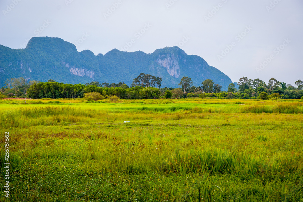 Fields in outskirts of Phatthalung