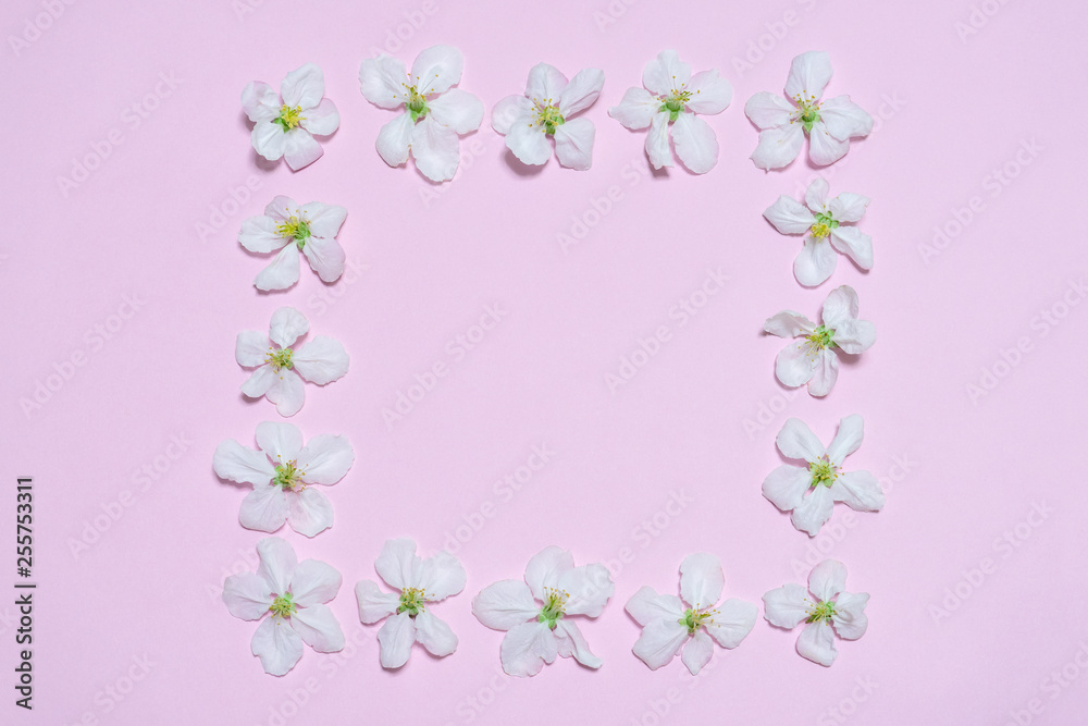 Square frame made of blooming apple flowers on light pink pastel background. Beautiful spring composition, women's or mother's day concept. Mock up, flat lay, top view, copy space for text Square frame made of blooming apple flowers on light pink pastel background. Beautiful spring composition, women's or mother's day concept. Mock up, flat lay, top view, copy space for text
