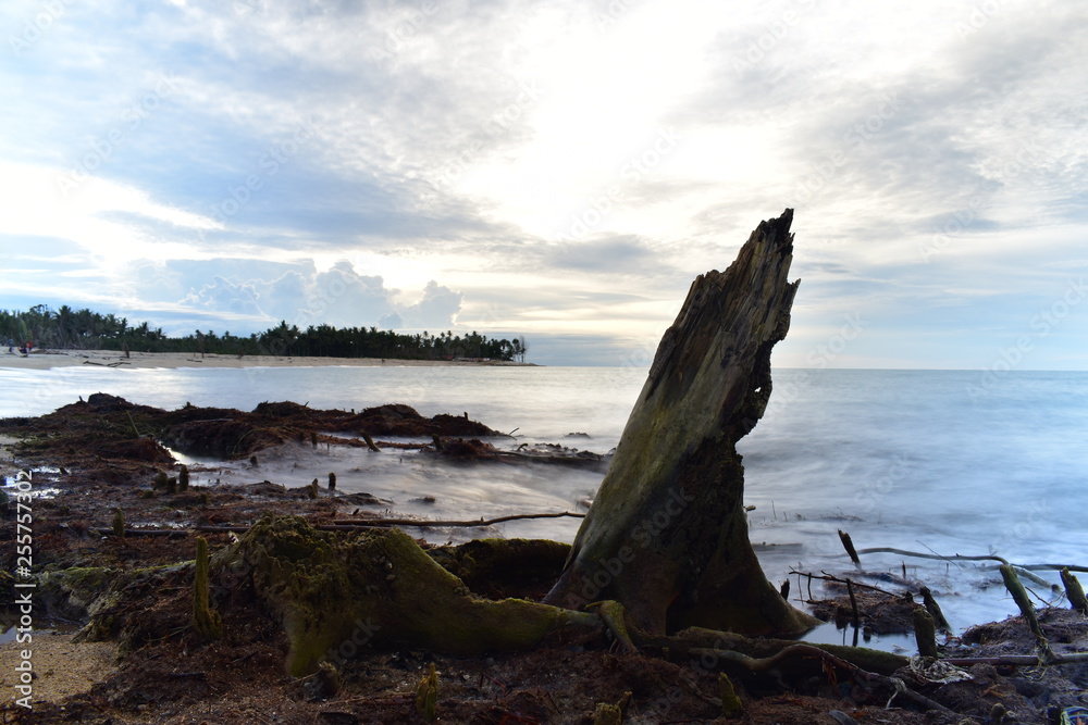 long exposure tree stump in the water near the shore long exposure tree stump in the water near the shore