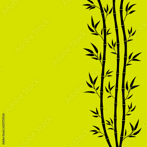 Bamboo branches isolated on green background. vector