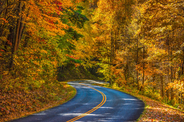 Blue Ridge Parkway near Asheville North Carolina