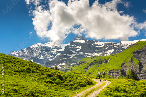 Schweizer Bergwelten