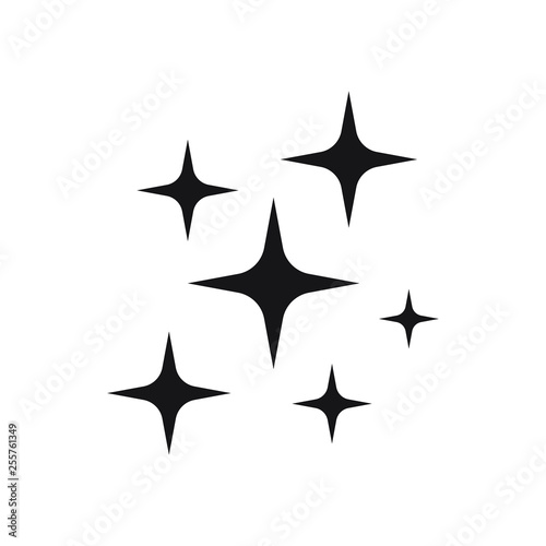Shine icon  Clean star icon isolated