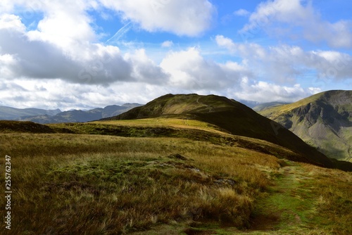 Sunlight on Narrow Moor