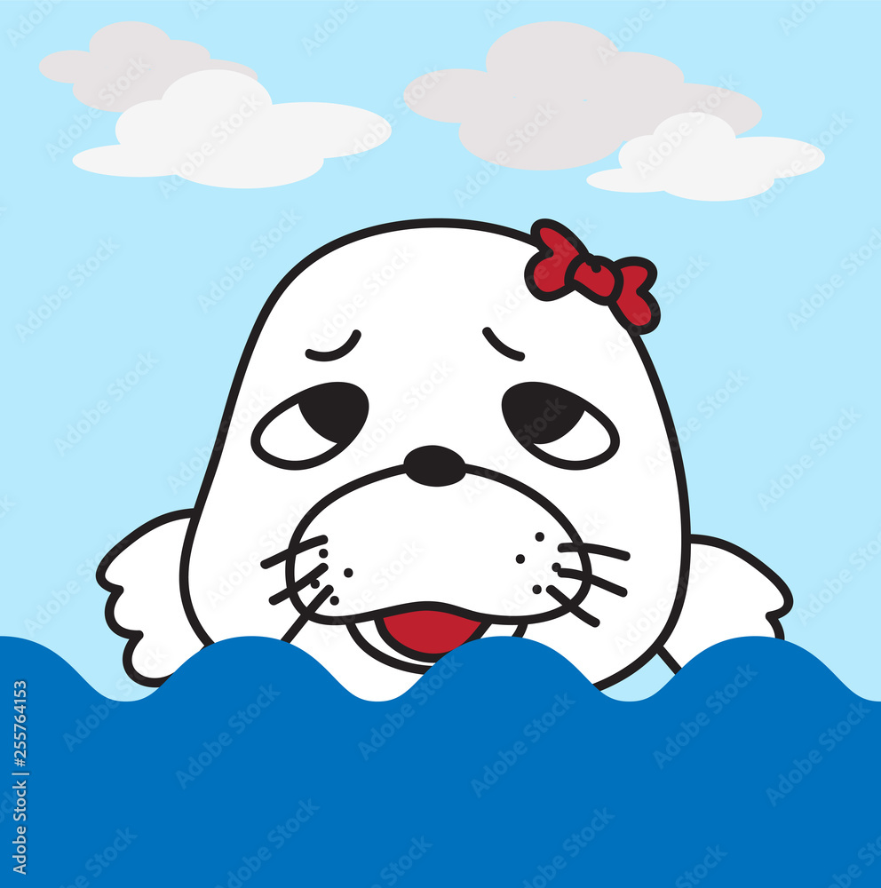 seal in the sea seal in the sea