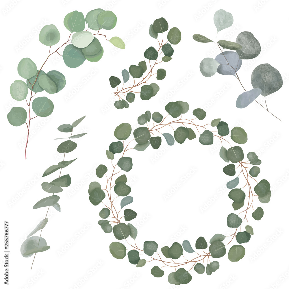 Eucalyptus branches and leaves and a wreath to put inside your text. Vector hand drawn elements. Eucalyptus branches and leaves and a wreath to put inside your text. Vector hand drawn elements.