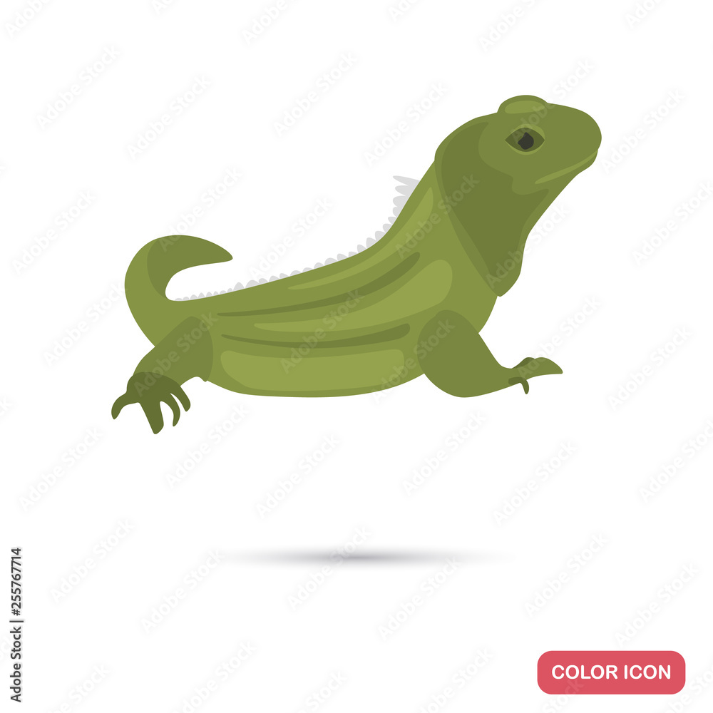 Obraz premium Httery lizard color flat icon for web and mobile design