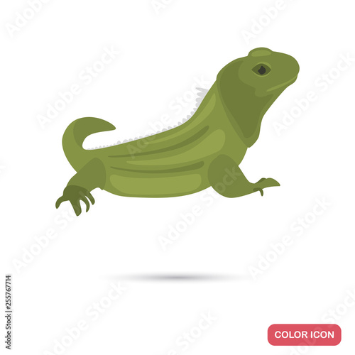 Httery lizard color flat icon for web and mobile design © LynxVector