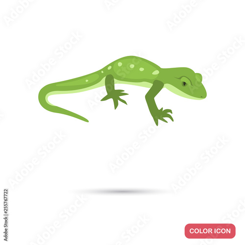 Green gecko color flat icon for web and mobile design © LynxVector