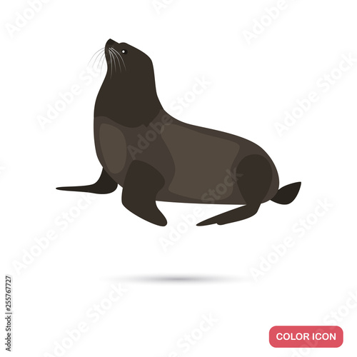 Fur seal color flat icon for web and mobile design