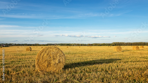 haystack in the field, Russia, August,