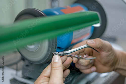 master man sharpens the machine scissors so they were sharp