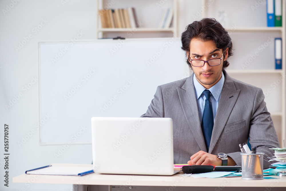 Young handsome businessman in budget planning concept Young handsome businessman in budget planning concept