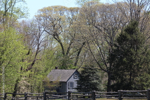 House in the woods