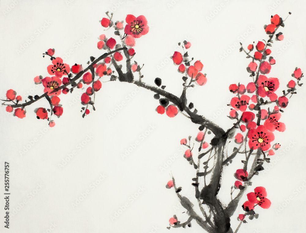 Fototapeta plum blossom branch