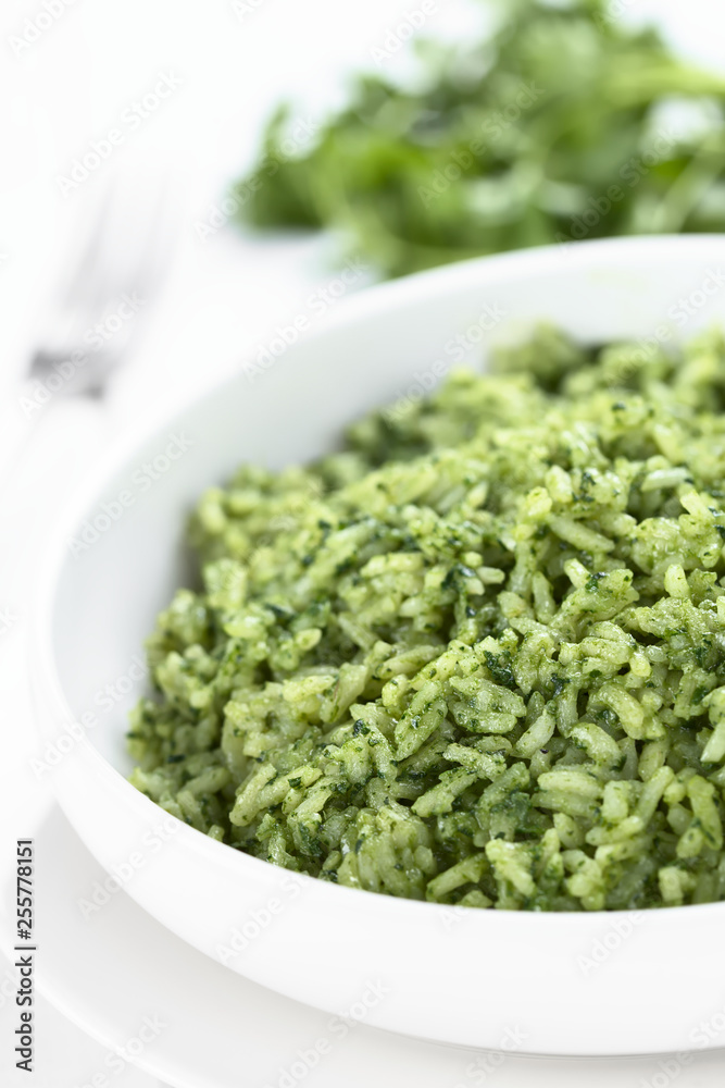 Traditional Mexican Arroz Verde green rice dish made of long-grain rice, spinach, cilantro and garlic (Selective Focus, Focus one third into the rice) Traditional Mexican Arroz Verde green rice dish made of long-grain rice, spinach, cilantro and garlic (Selective Focus, Focus one third into the rice)