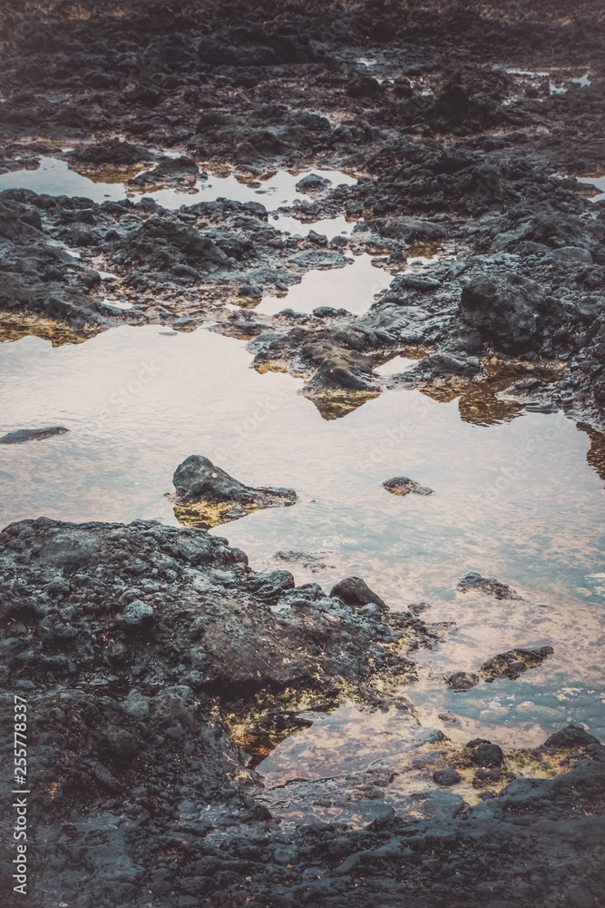 Lava and water - ocean floor during low tide in Corralejo on Fuerteventura Lava and water - ocean floor during low tide in Corralejo on Fuerteventura