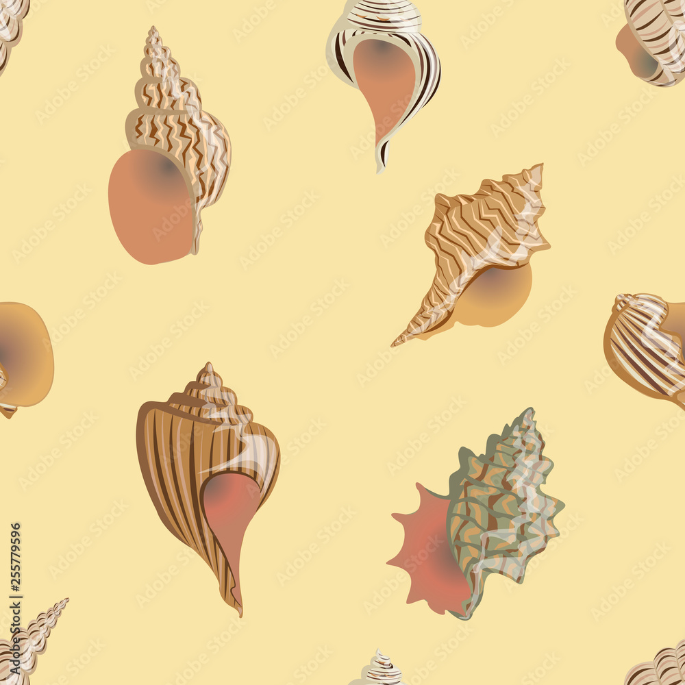 River Shells Vector Sea and river cockleshells of different types and forms. Shells and ...
