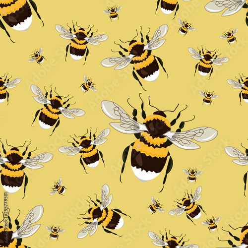 Seamless pattern with big bright bumblebees. Realistic insects. Vector pattern