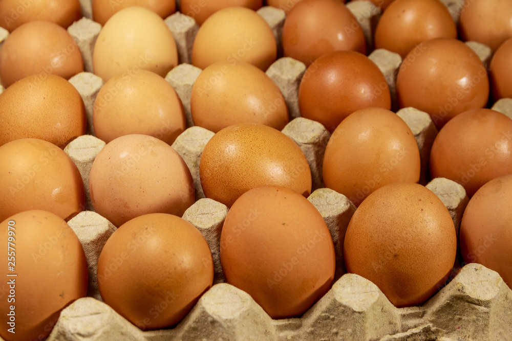 Raw chicken eggs in cardboard egg box close-up Raw chicken eggs in cardboard egg box close-up