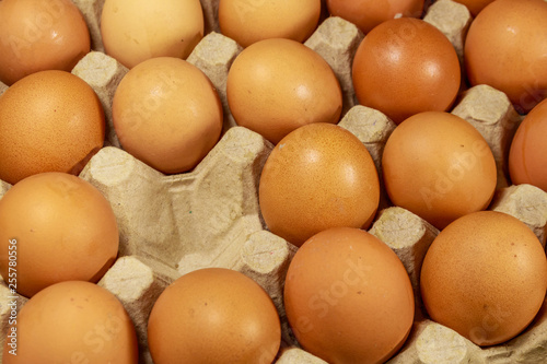 Raw chicken eggs in cardboard egg box with empty space
