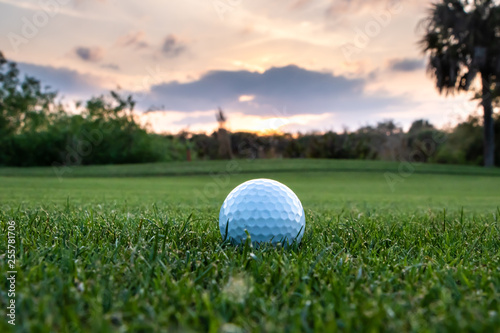 Golf ball on Florida course during sunset