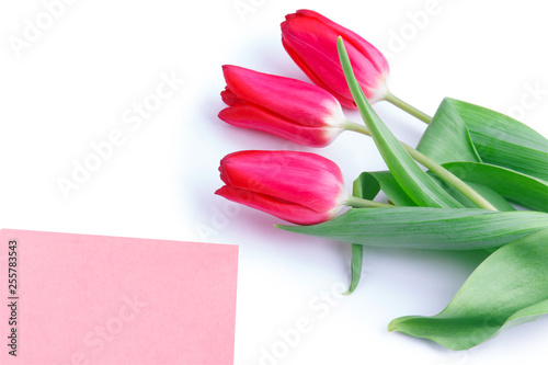 Wallpaper Mural Three tulips and the letter on the white background Torontodigital.ca