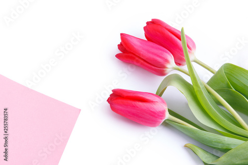 Wallpaper Mural Three tulips and the letter on the white background Torontodigital.ca