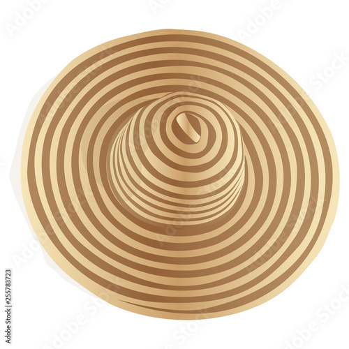 Women's summer hat. Vector illustration. Isolated on a white background.