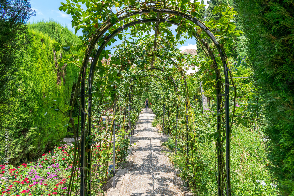 Obraz premium Alhambra